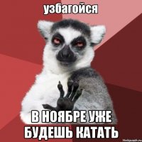  в ноябре уже будешь катать