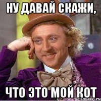 ну давай скажи, что это мой кот
