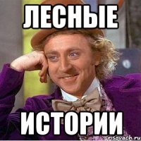 лесные истории