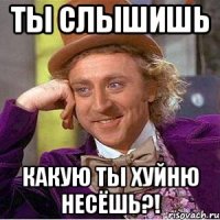 ты слышишь какую ты хуйню несёшь?!