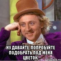  ну давайте, попробуйте подобрать под меня цветок.