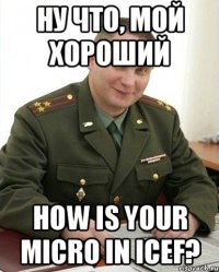 ну что, мой хороший how is your micro in icef?