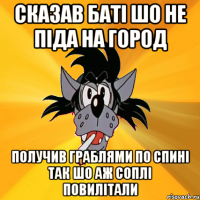 сказав баті шо не піда на город получив граблями по спині так шо аж соплі повилітали