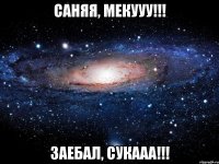 саняя, мекууу!!! заебал, сукааа!!!