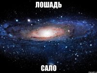 лошадь сало