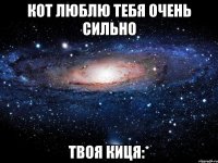 кот люблю тебя очень сильно твоя киця:*