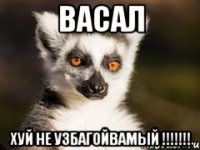 васал хуй не узбагойвамый !!!