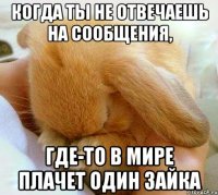 когда ты не отвечаешь на сообщения, где-то в мире плачет один зайка