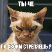 ты че по своим стреляешь ?