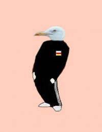 Создать мем Чайка
