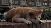 Создать мем хати
