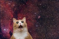 оу щет мэн, гад дэм что это за красота, Мем кот космос