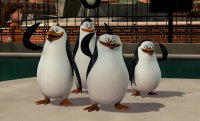 Лучшие мемы  пингвины Мадагаскара