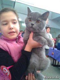 Создать мем rerer