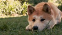 Создать мем скучать по любимому херово если 