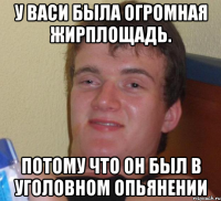 у васи была огромная жирплощадь. потому что он был в уголовном опьянении