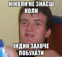 ніколи не знаєш коли індик захоче побухати