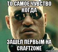 то самое чувство когда зашел первым на craftzone