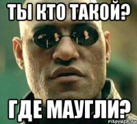 ты кто такой? где маугли?