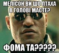 мелісон ви шо птаха в голові маєте? фома та???