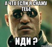 а что если я скажу тебе иди ?