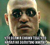  что если я скажу тебе что напал на золотую жилу?