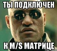 ты подключен к m/s матрице