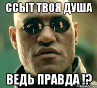 ссыт твоя душа ведь правда !?