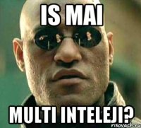 is mai multi inteleji?