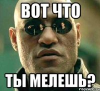 вот что ты мелешь?