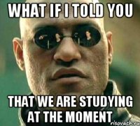 What if i told you that we are studying at the moment