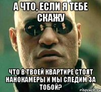 А что, если я тебе скажу что в твоей квартире стоят нанокамеры и мы следим за тобой?