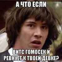 а что если витс гомосек и ревнует к твоей девке?