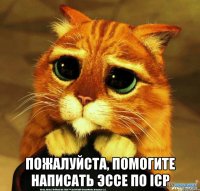  Пожалуйста, помогите написать эссе по ICP