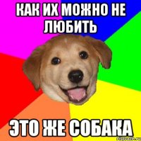 как их можно не любить это же собака