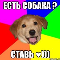 Есть собака ? Ставь ♥)))