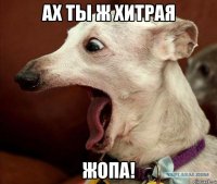 ах ты ж хитрая жопа!