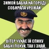 Зимой бабка на городі собирала урожай, вітер чухає їй спину бабкі похуй, так і знай.