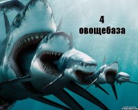 4 овощебаза