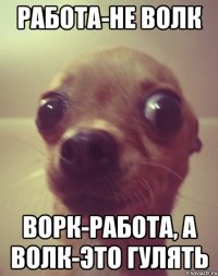 работа-не волк ворк-работа, а волк-это гулять