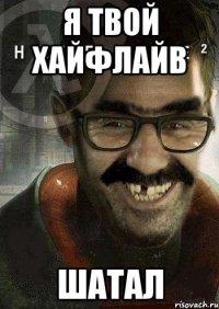 я твой хайфлайв шатал