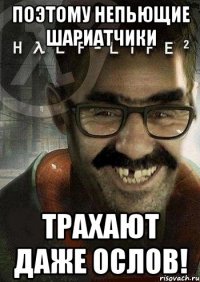 поэтому непьющие шариатчики трахают даже ослов!