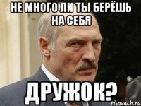 не много ли ты берёшь на себя дружок?