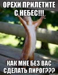 орехи прилетите с небес!!! как мне без вас сделать пирог???