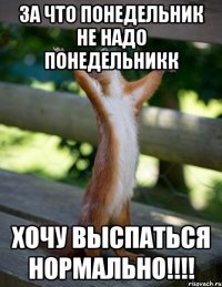 ЗА ЧТО ПОНЕДЕЛЬНИК НЕ НАДО ПОНЕДЕЛЬНИКК ХОЧУ ВЫСПАТЬСЯ НОРМАЛЬНО!!!!