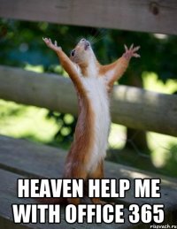  Heaven help me with Office 365