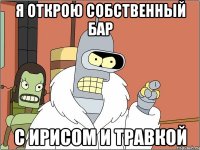 я открою собственный бар с ирисом и травкой