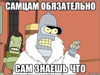 самцам обязательно сам знаешь что