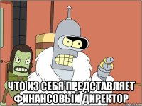  Что из себя представляет финансовый директор