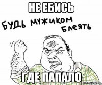 не ебись где папало